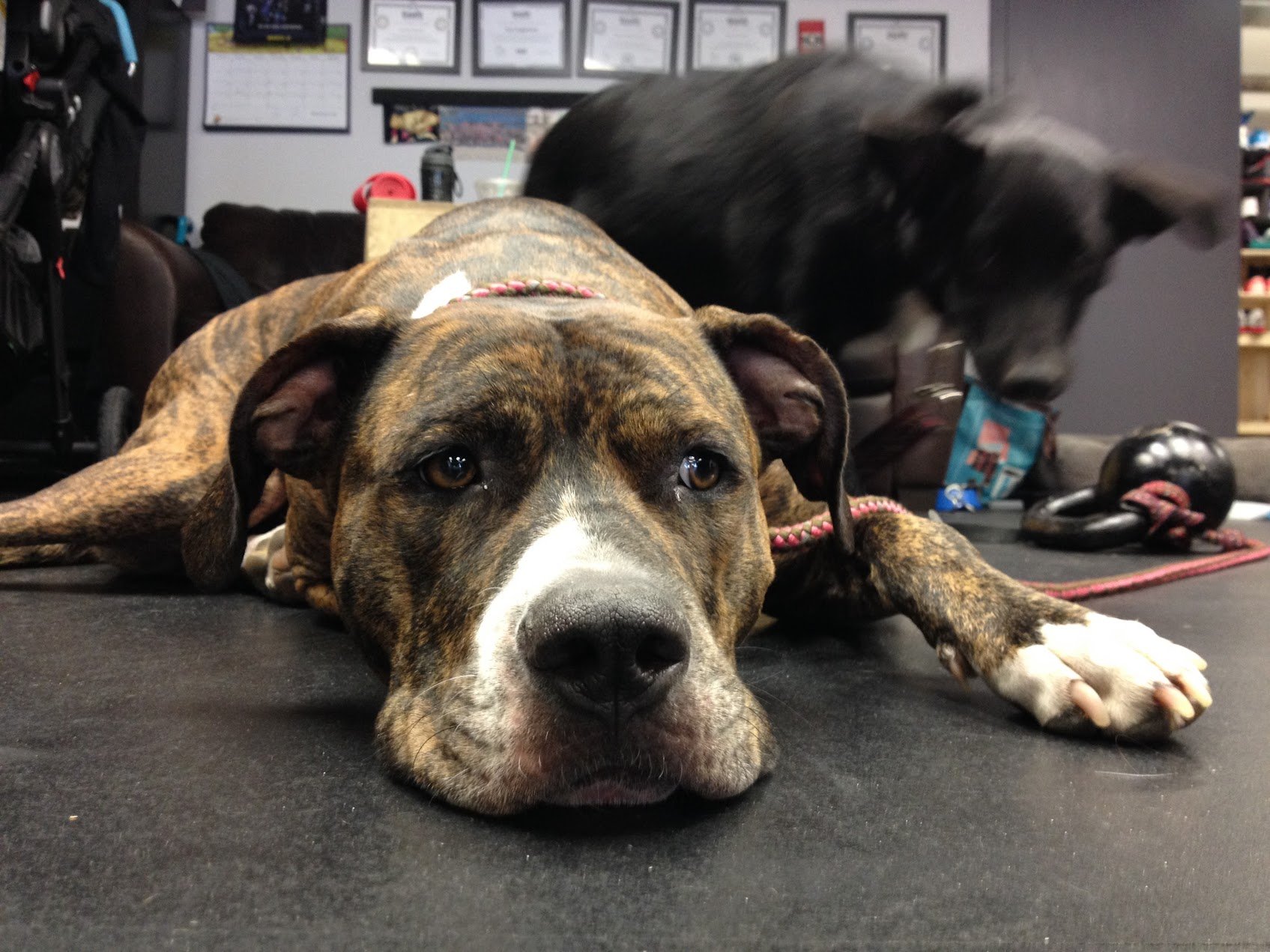 The First Decade, Raincity's Zenplanner Wrapped