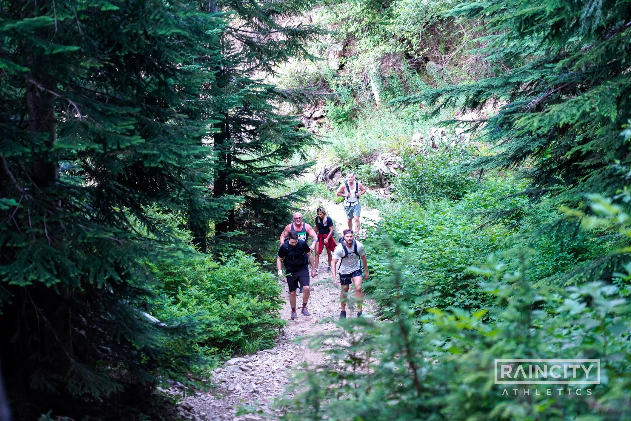 The First Decade, Raincity's Zenplanner Wrapped