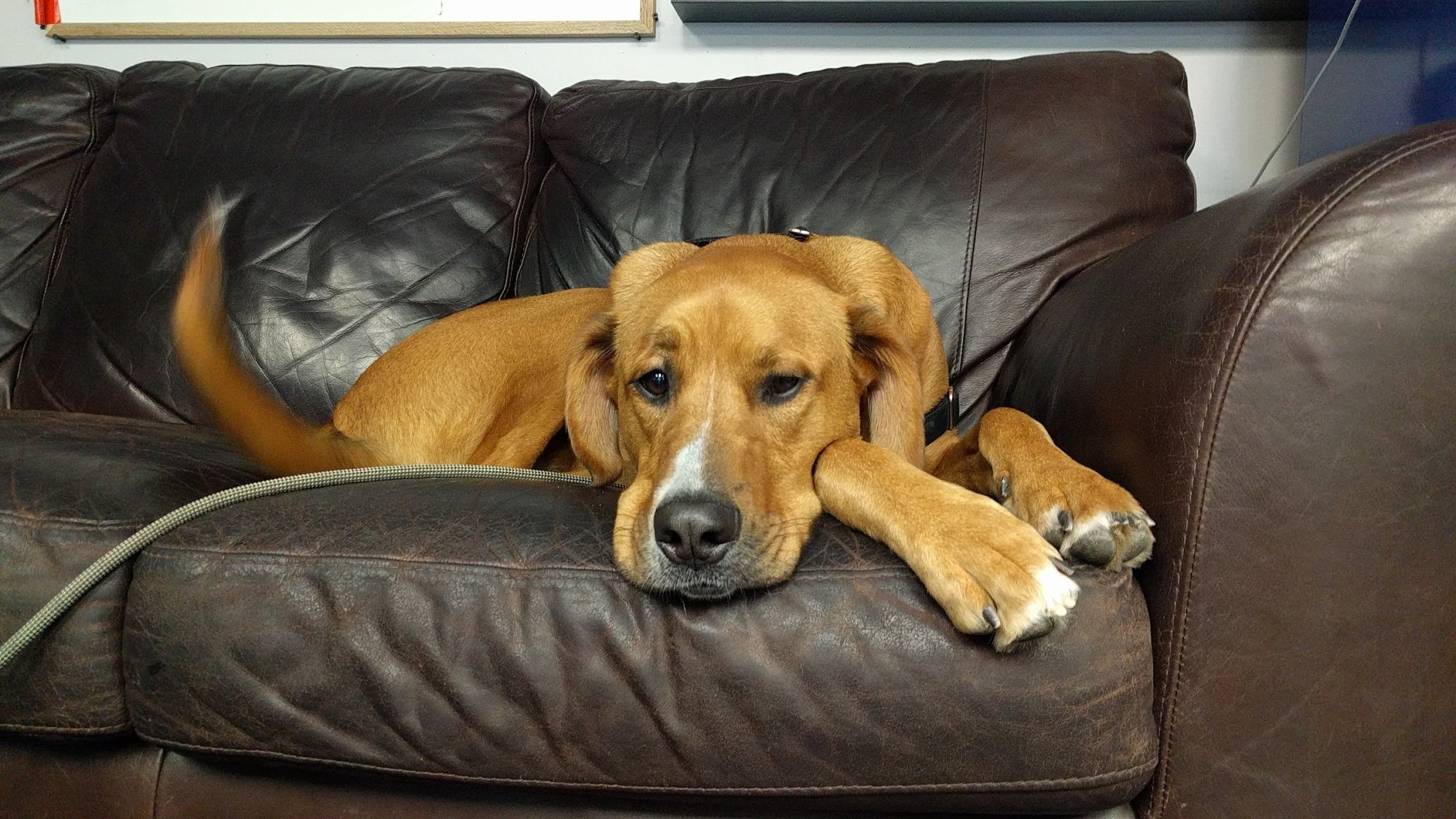 The First Decade, Raincity's Zenplanner Wrapped